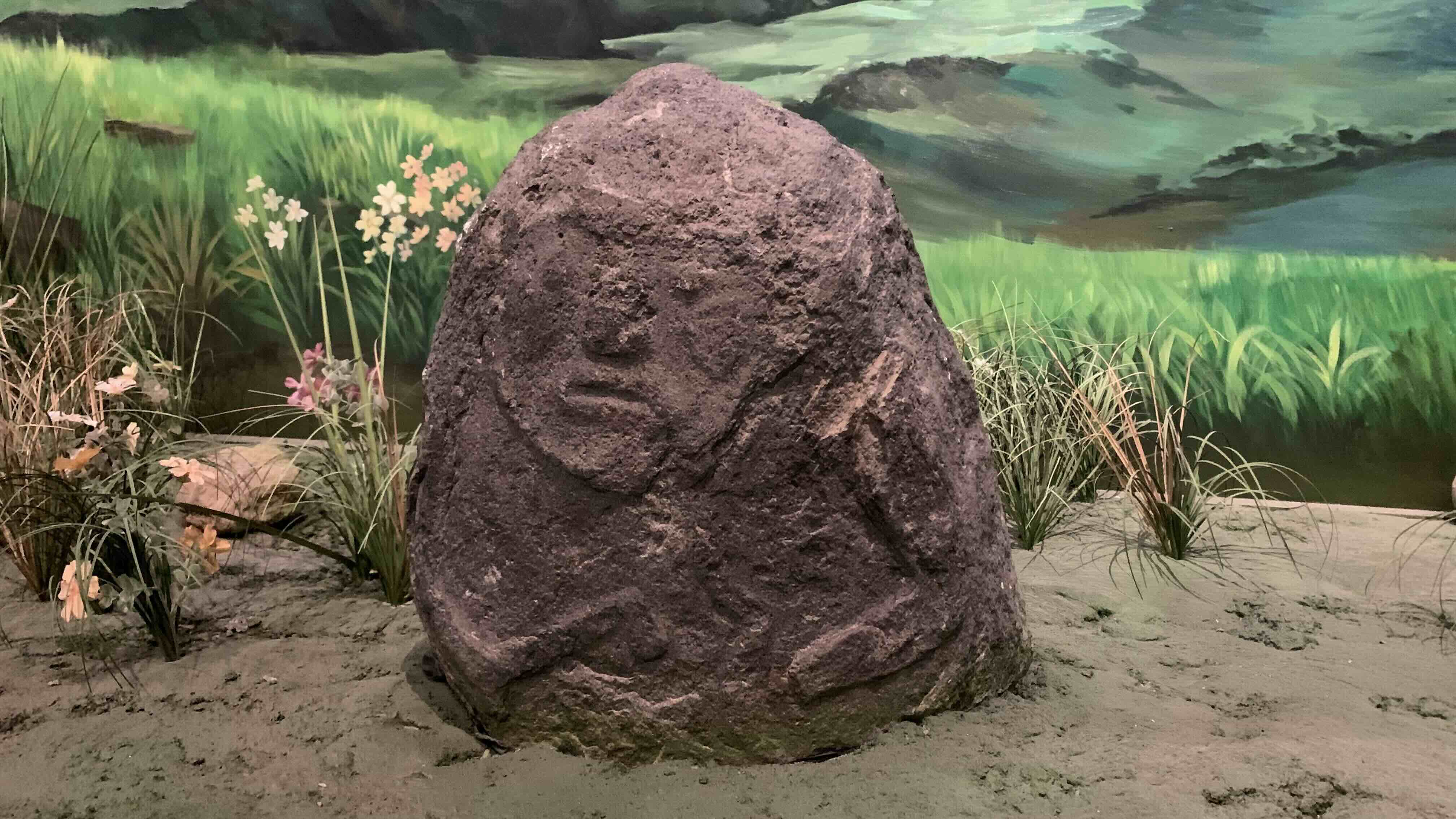 窗外