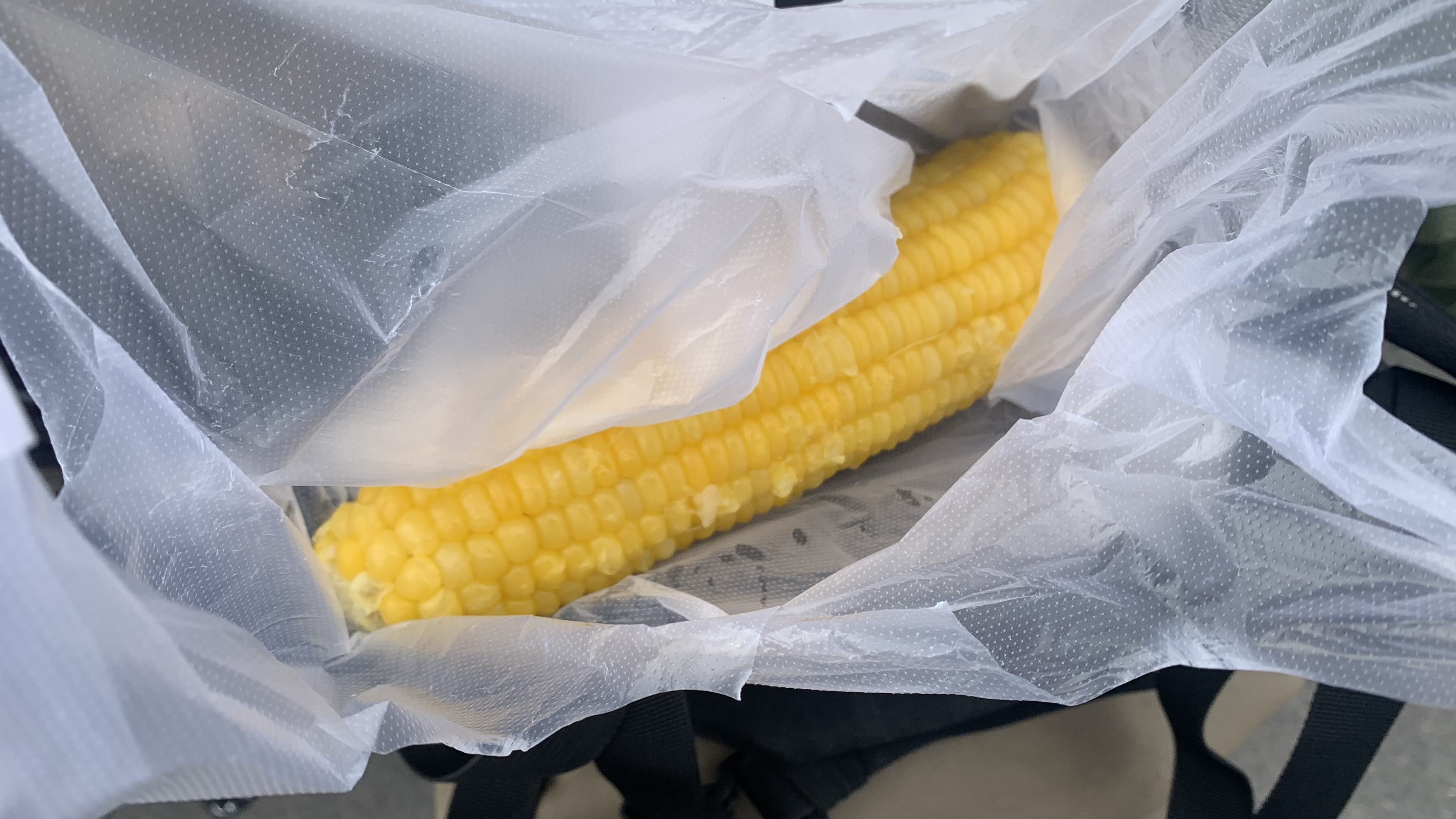 玉米