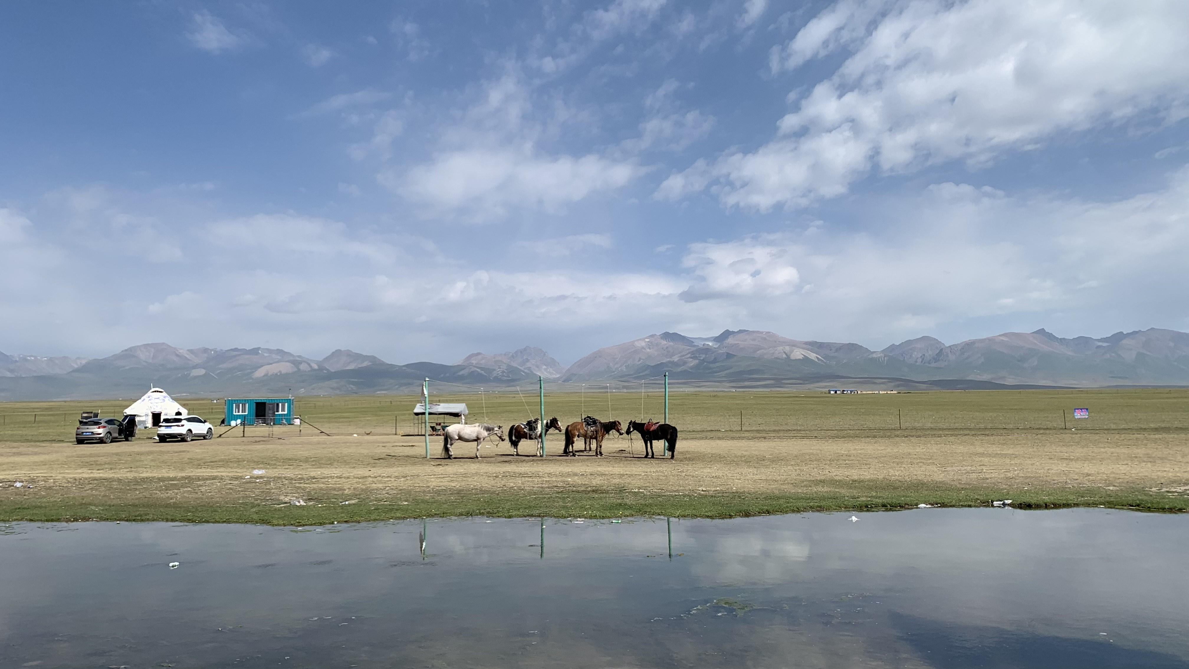 吊頸馬