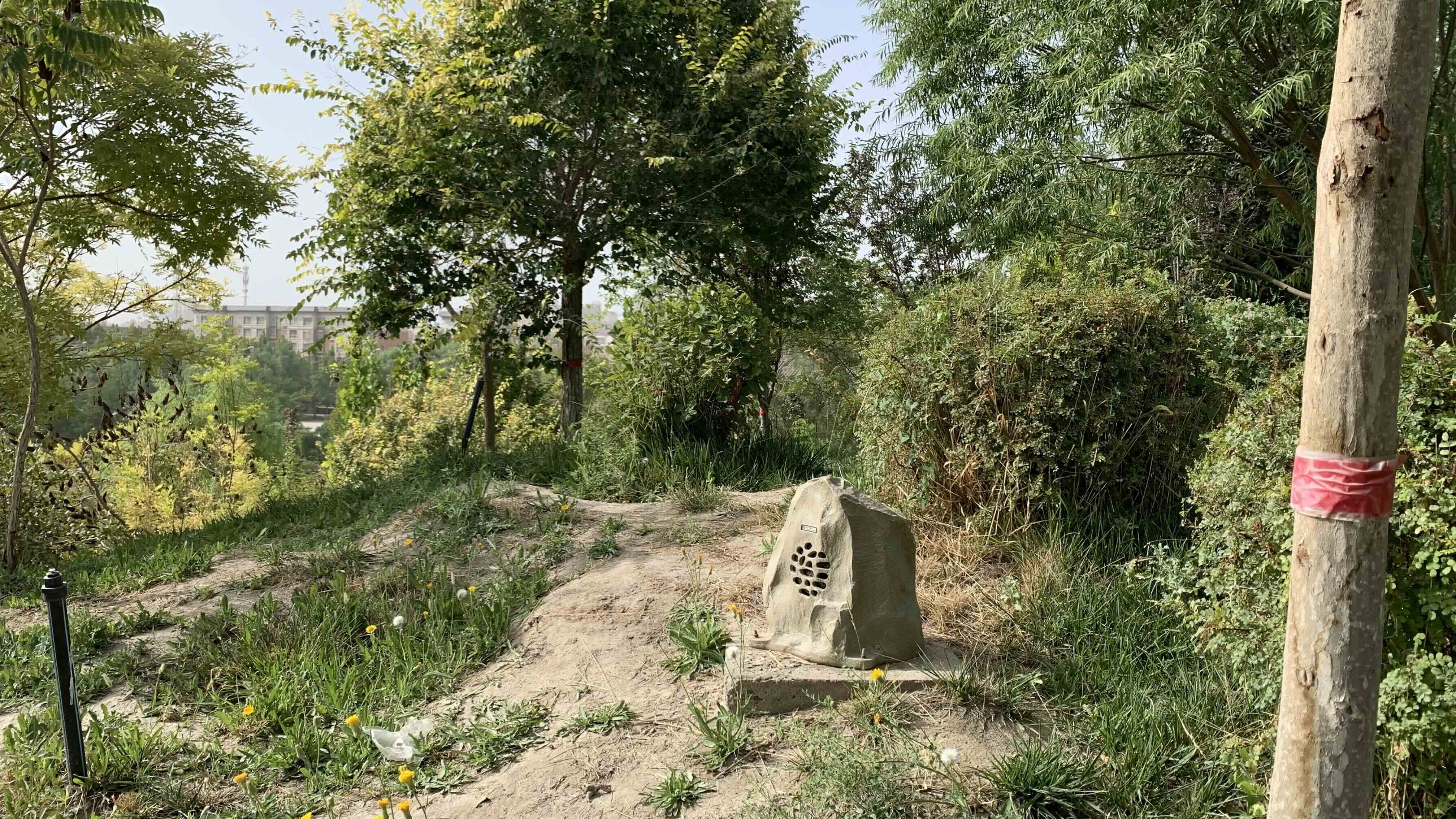 都護府園區音響