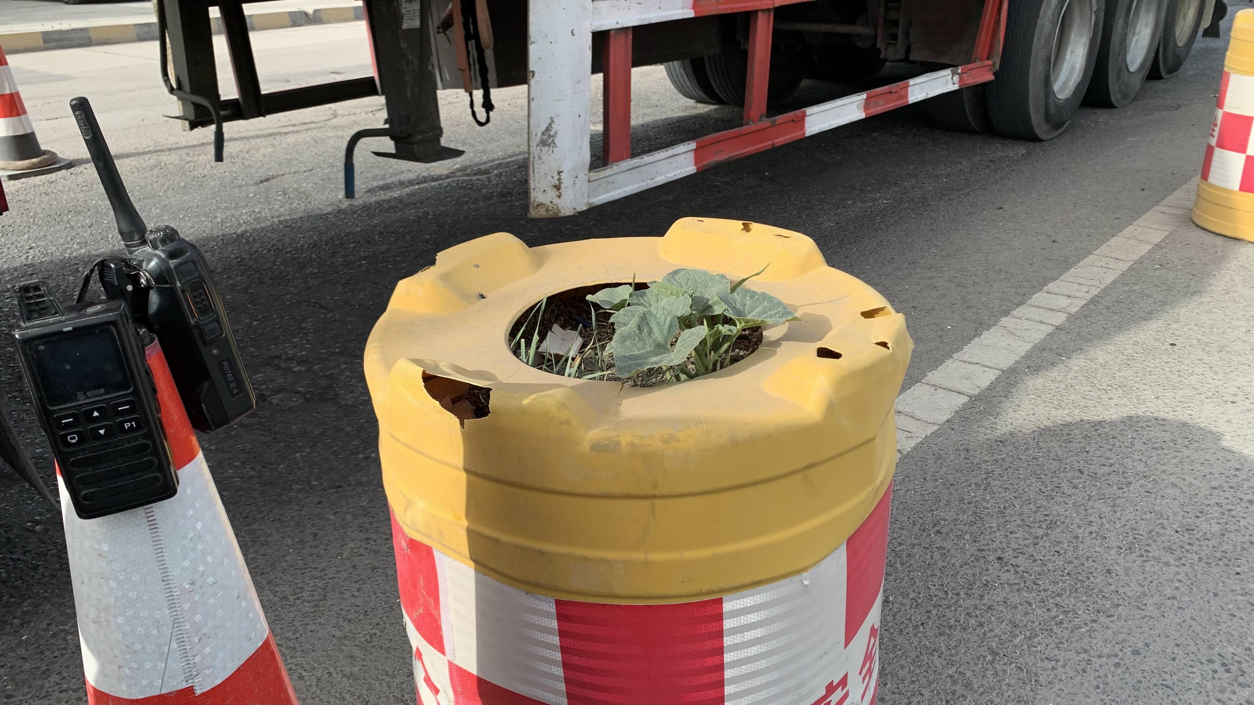交警