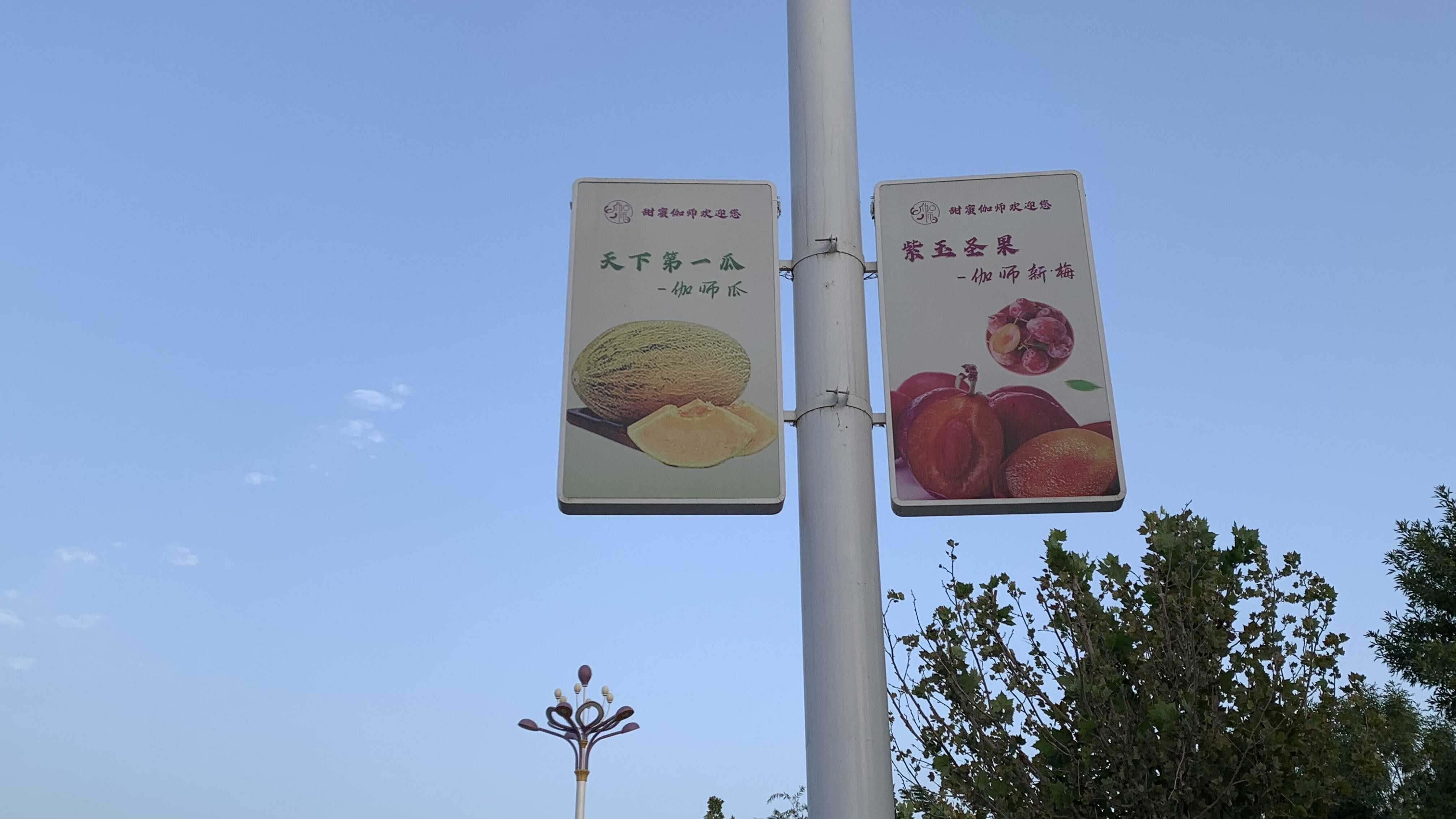 伽師特產