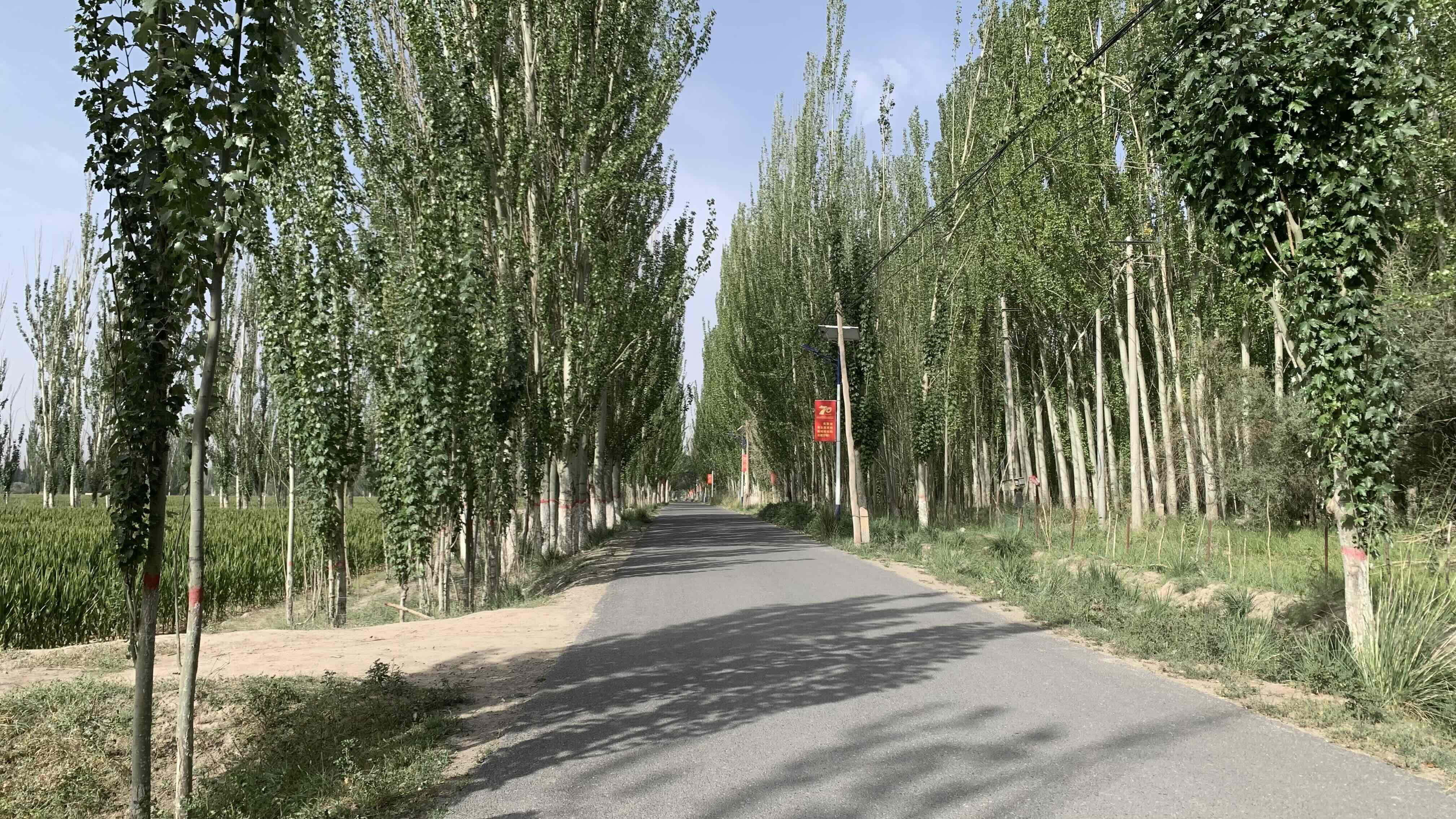 鄉道