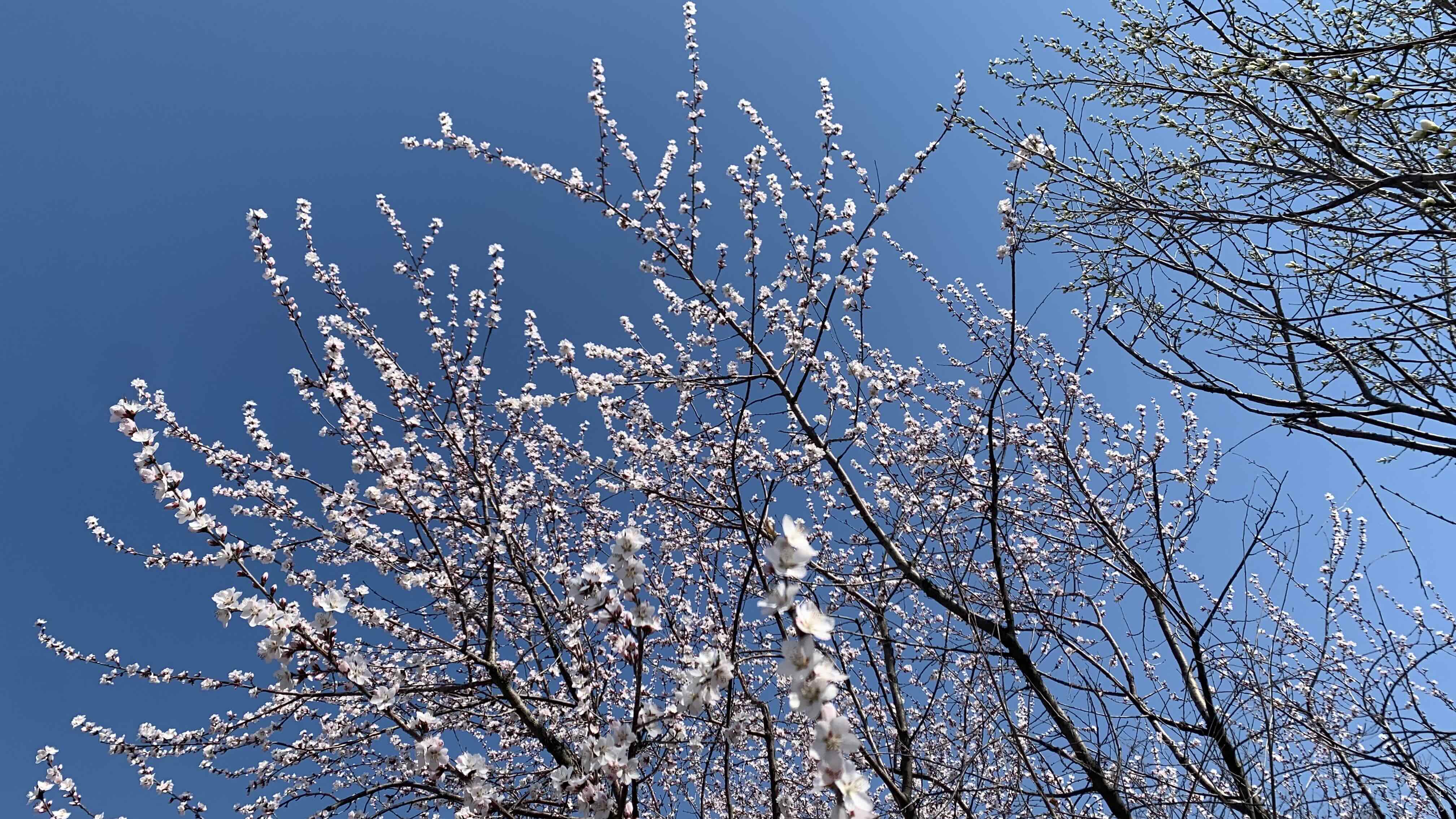 漸層天空