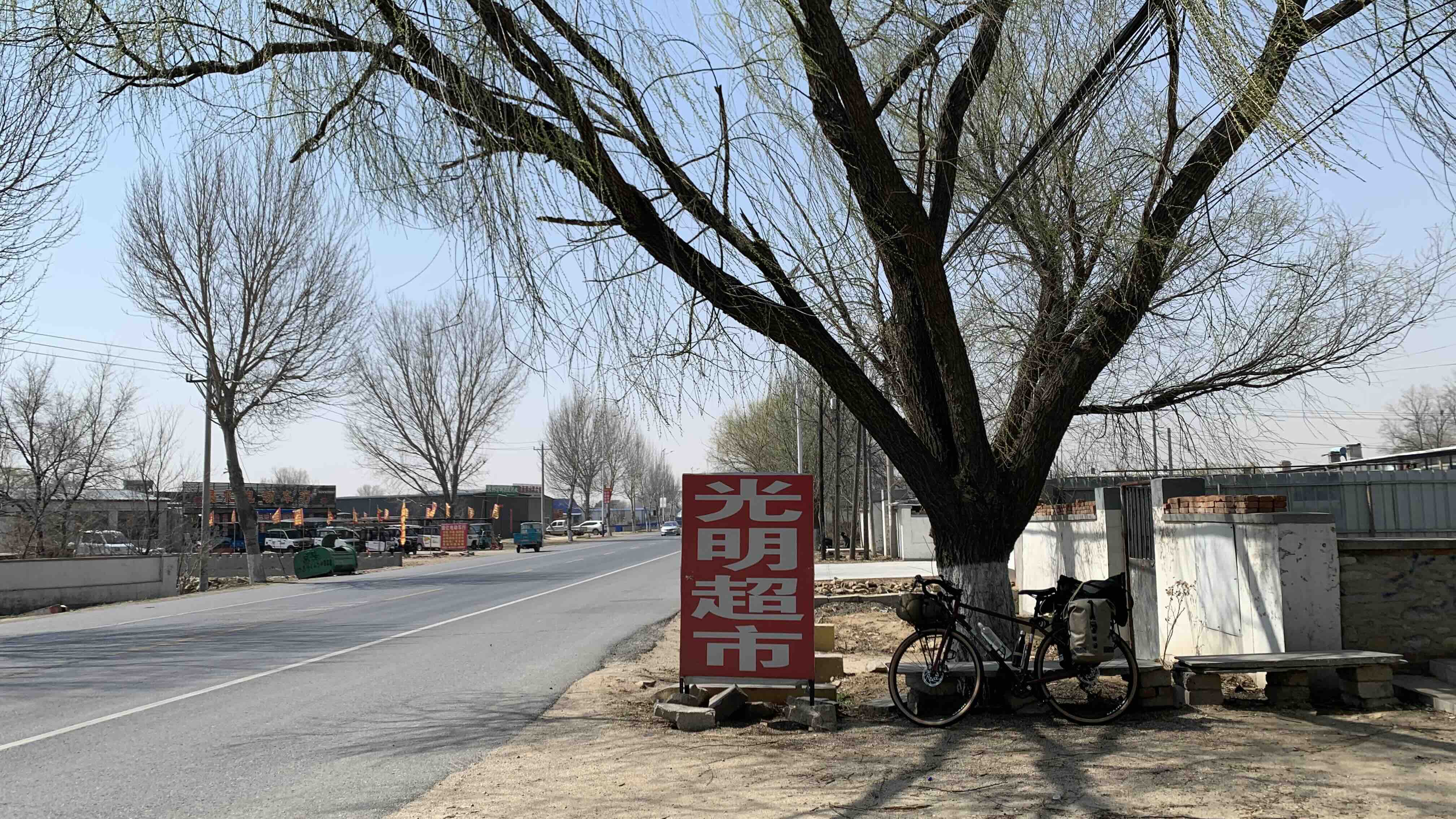 柳樹下早餐