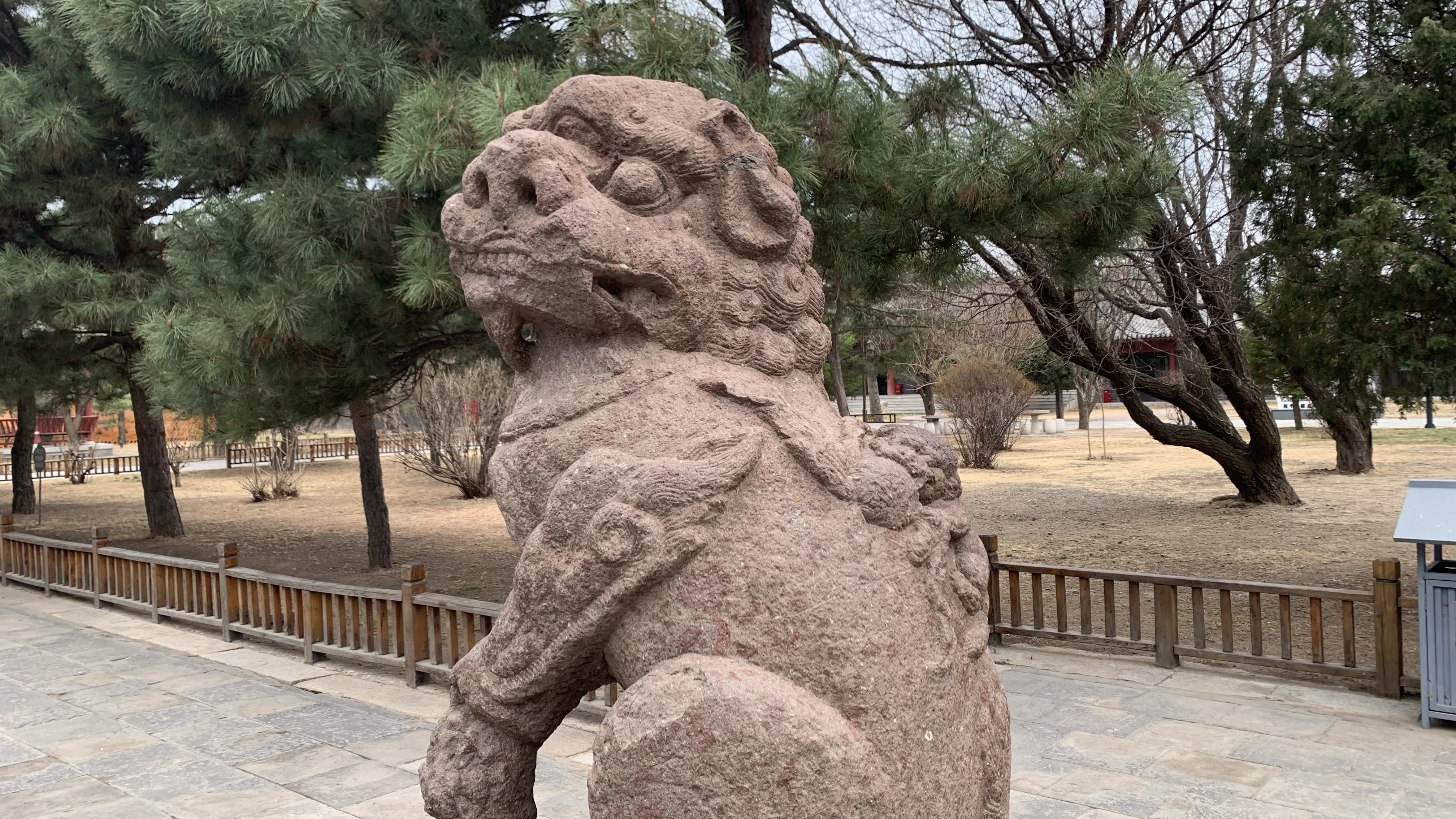 小獅子