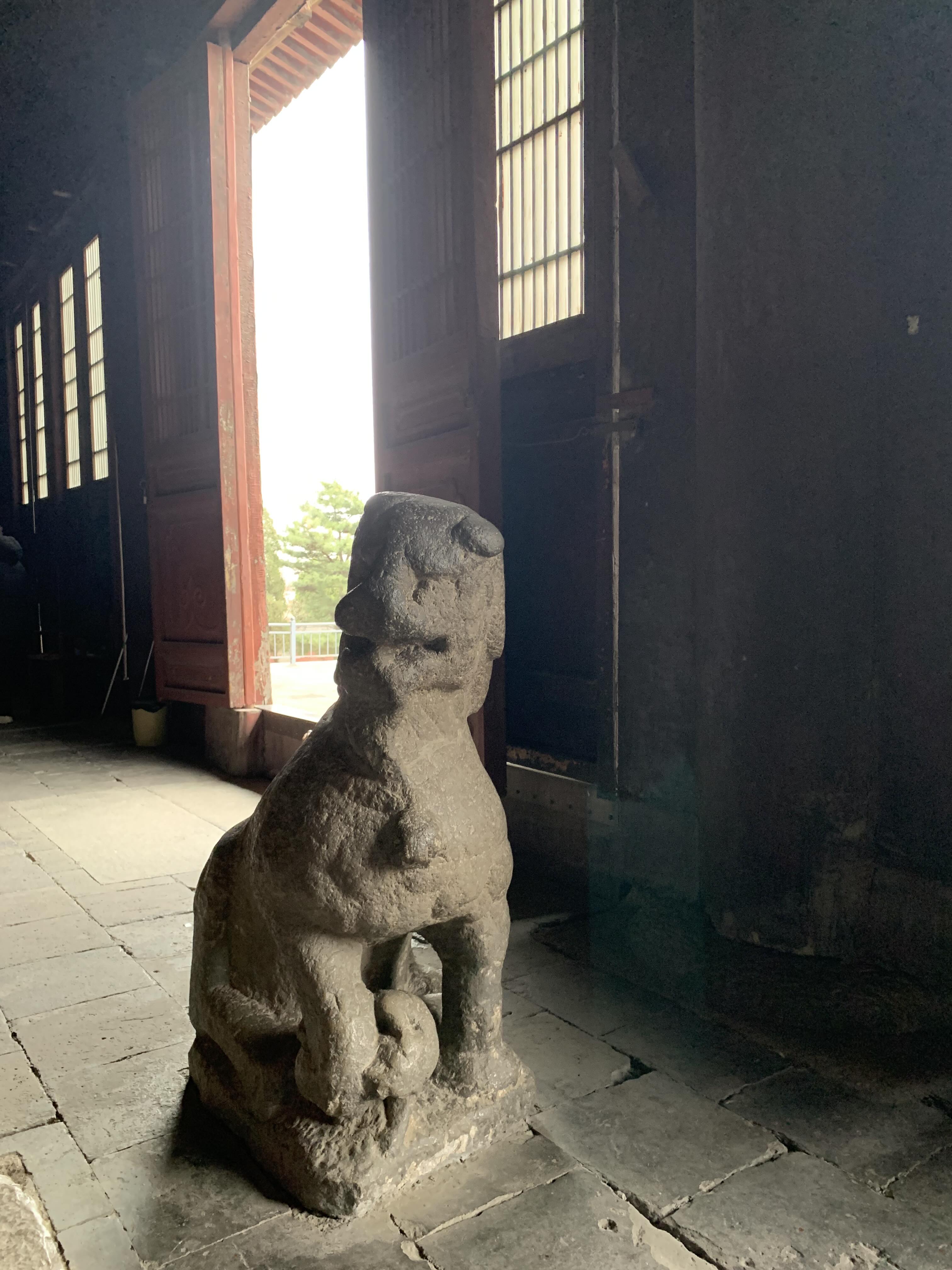 石獅眼神