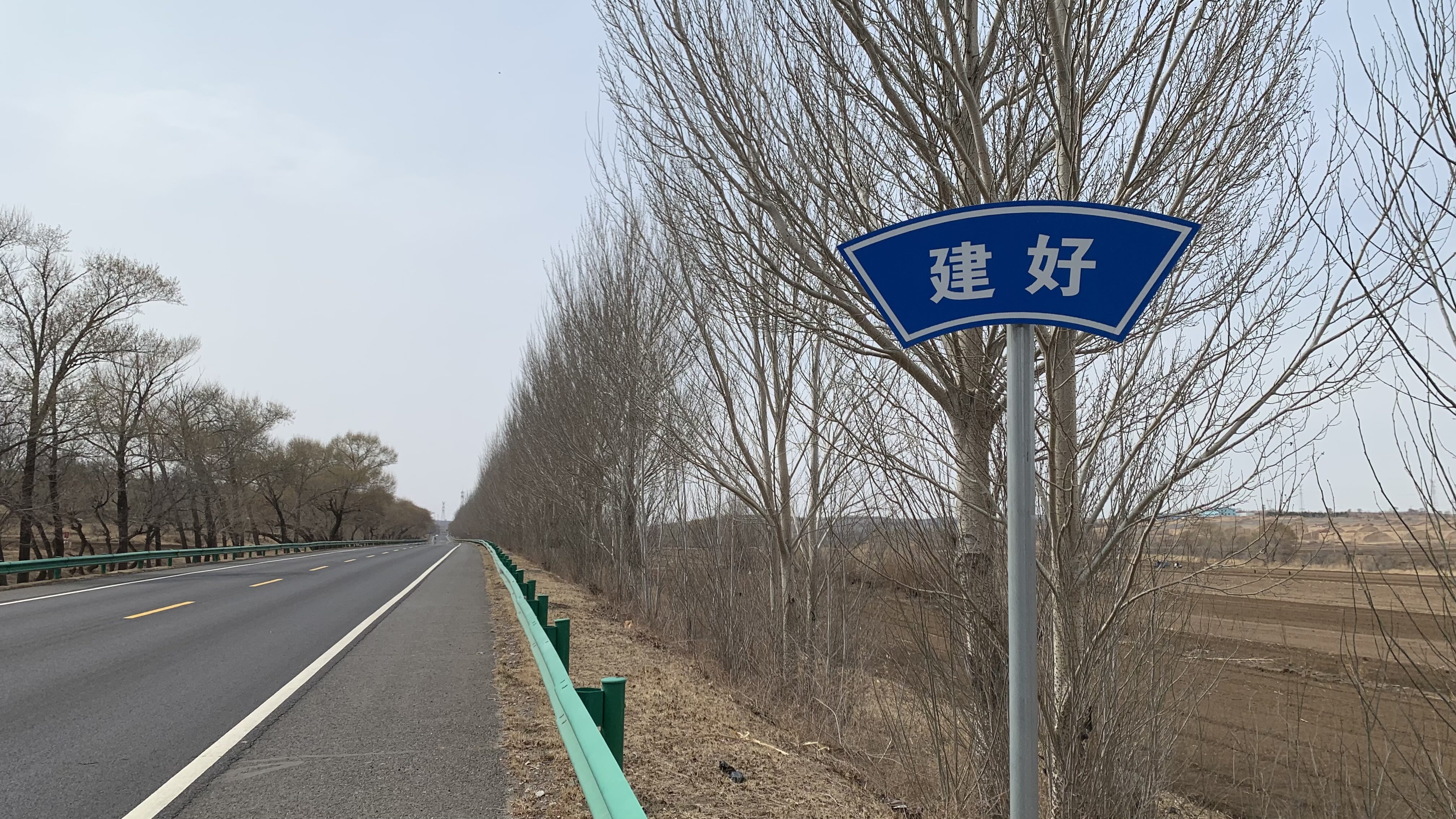 養好