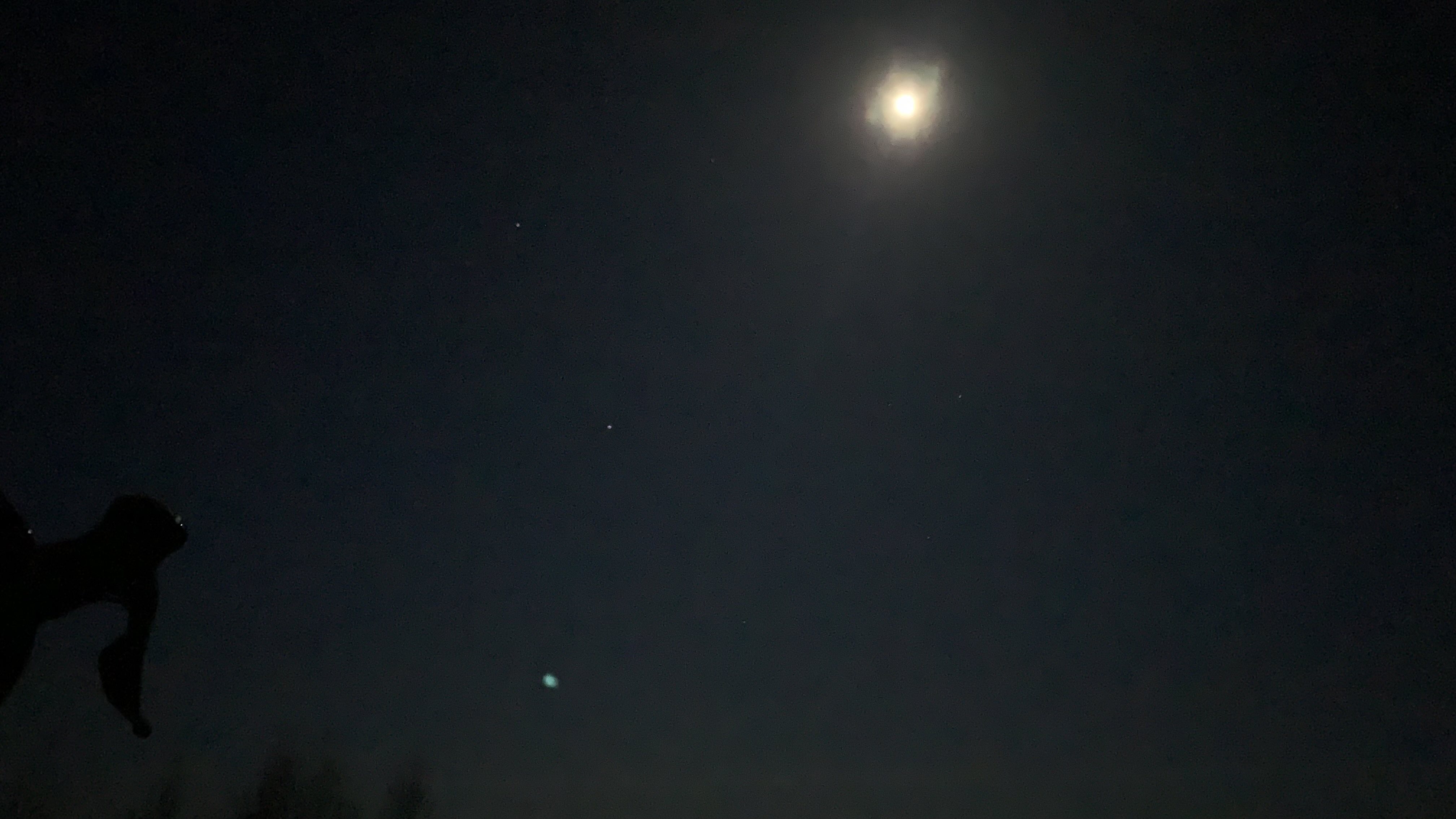 月明星稀