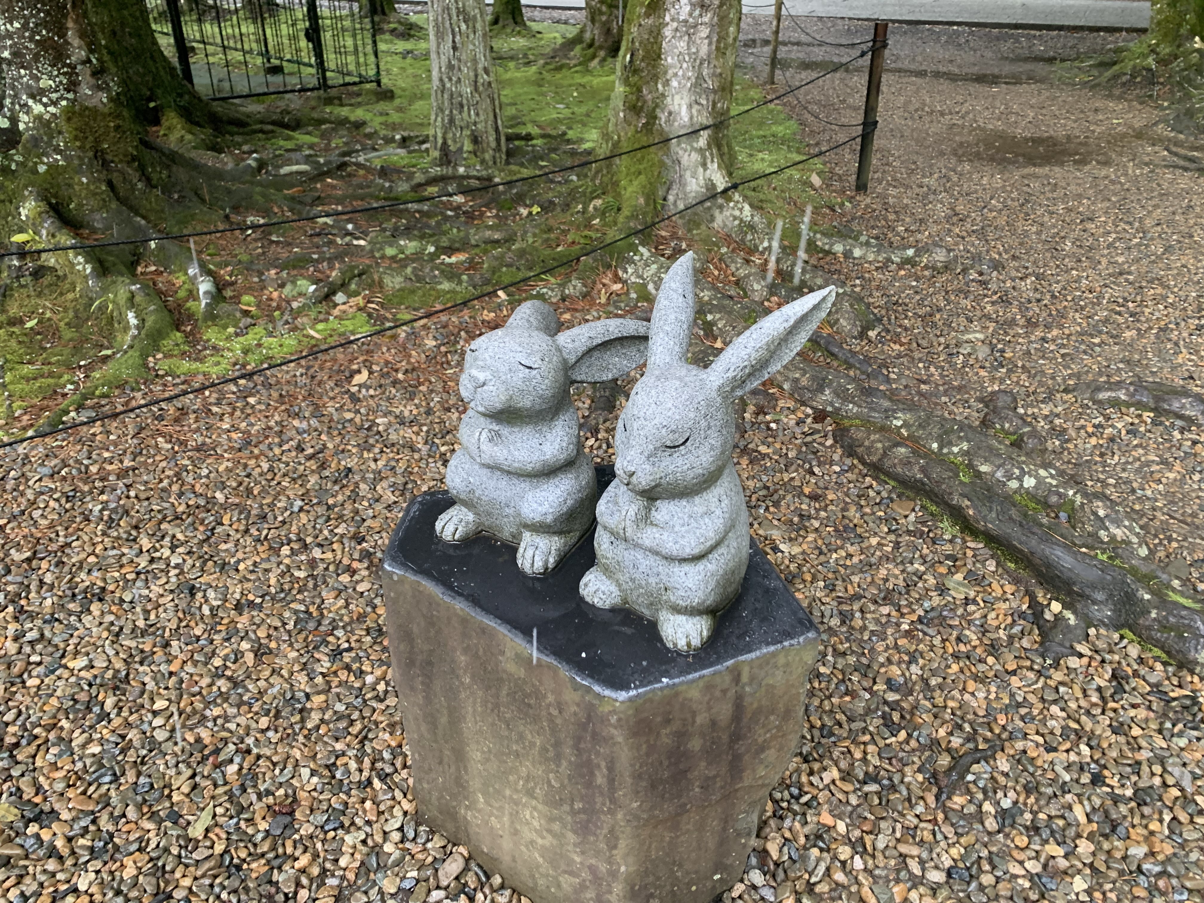 雙手合十的兔子