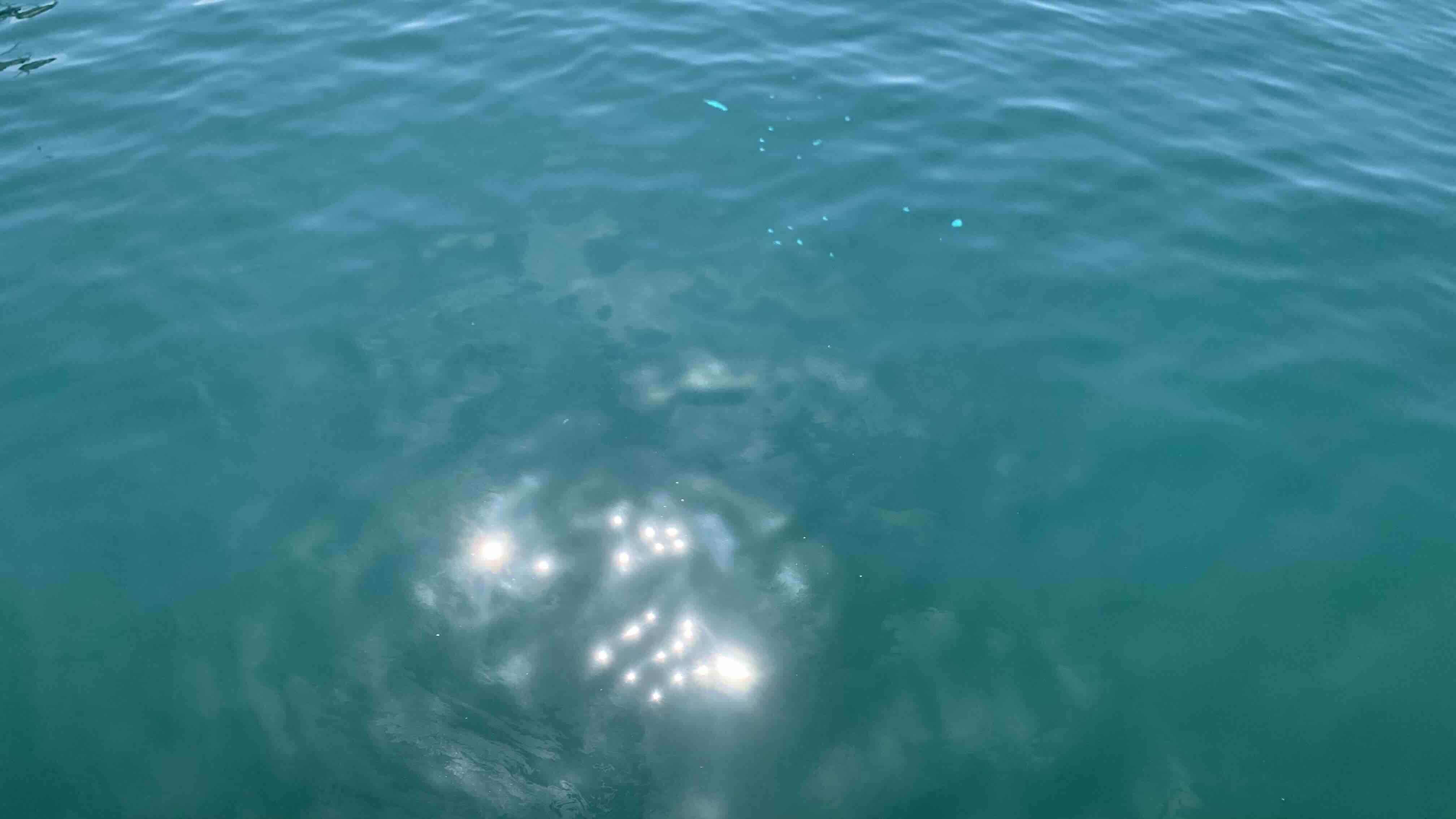 藍色的海水