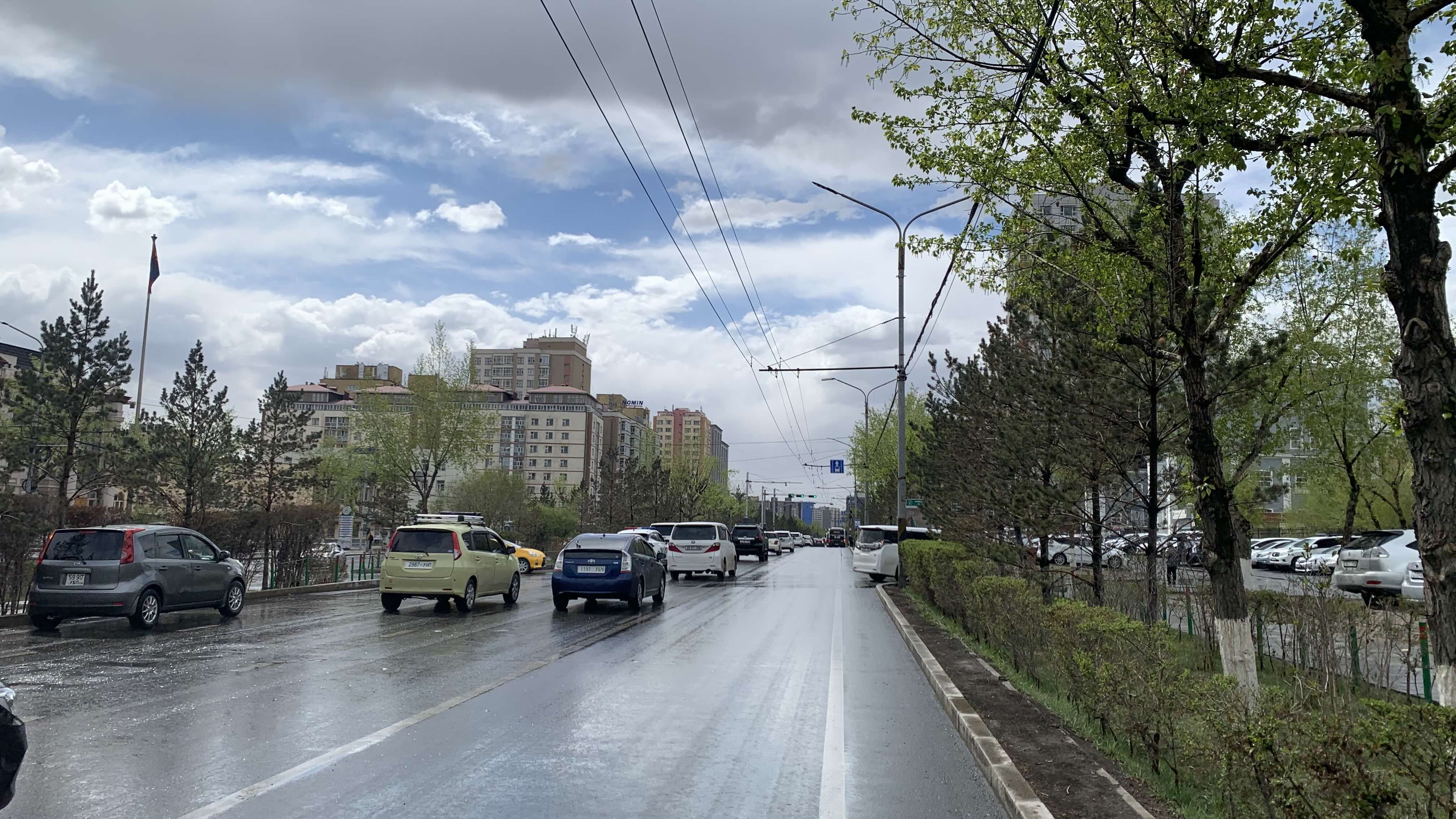 路樹