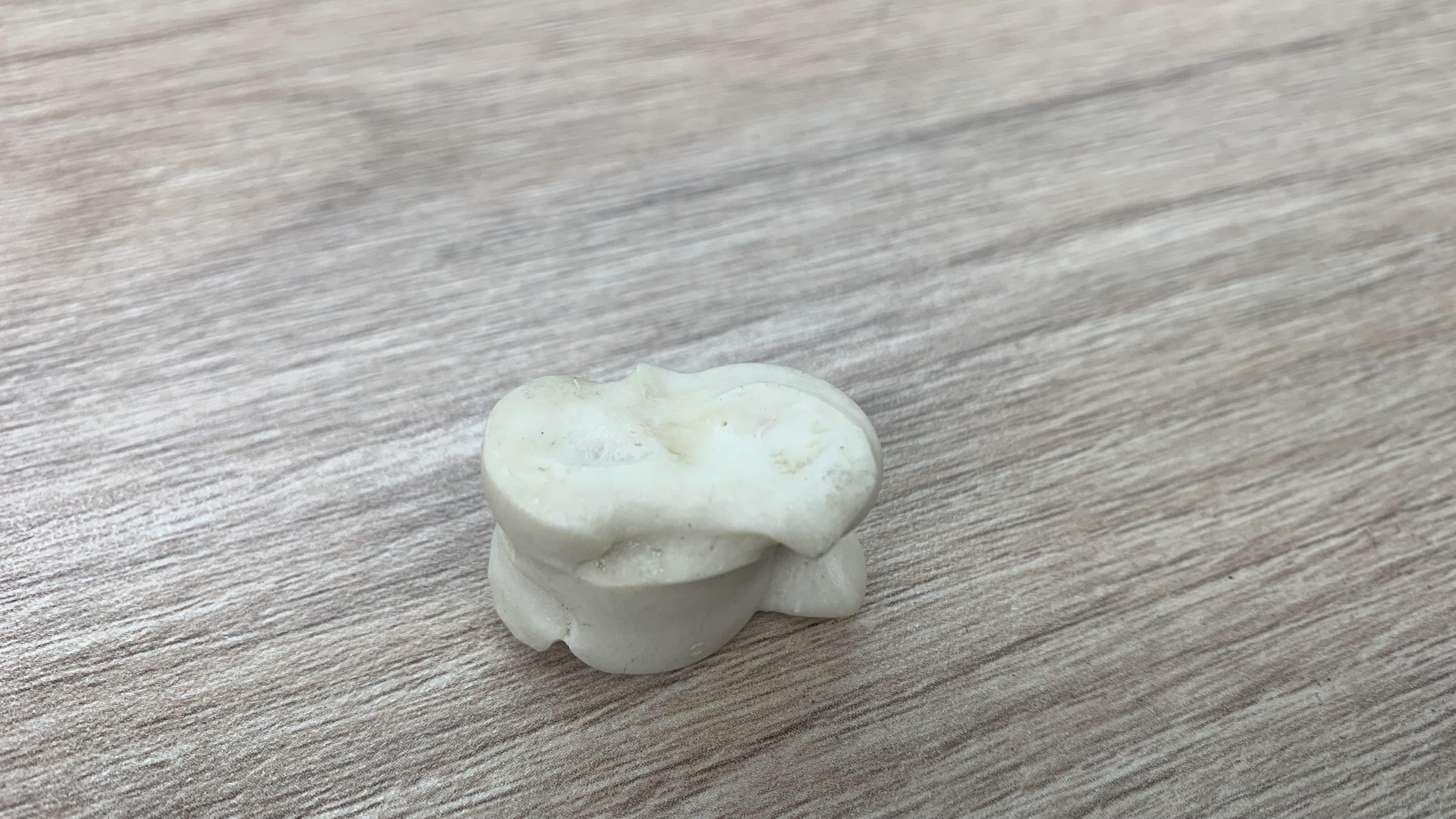 沙蓋