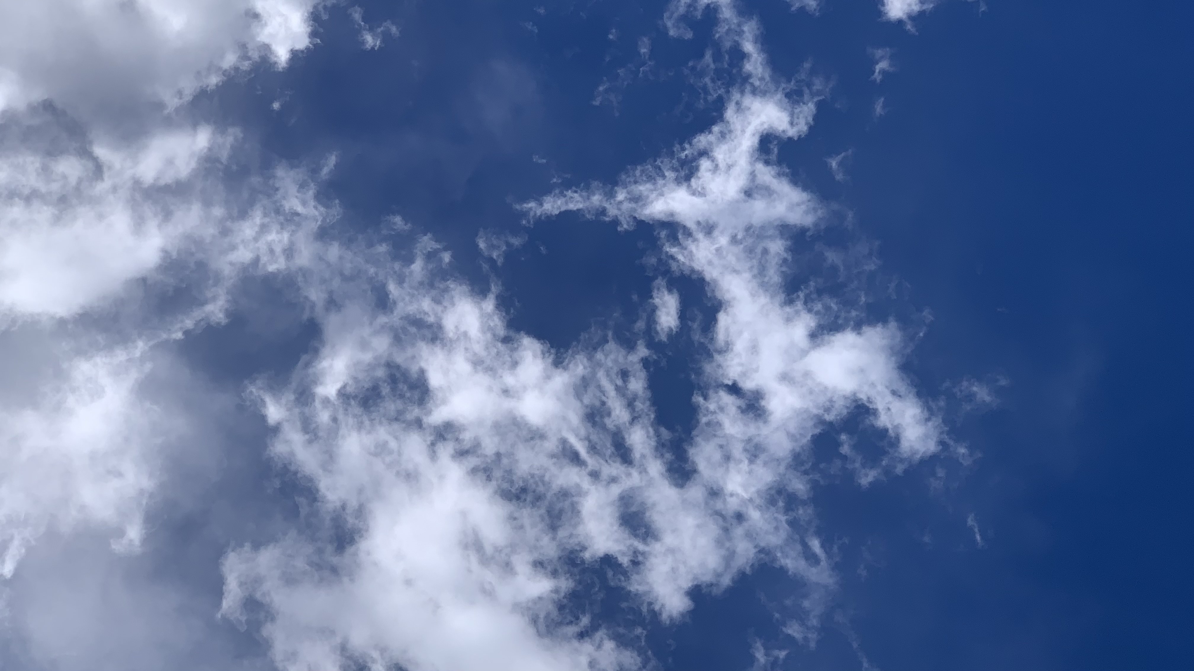 鹿型雲